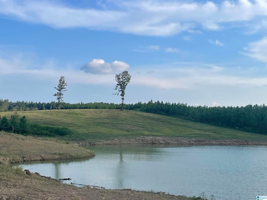 3679 Chelsea Rd, Columbiana, AL 35051 - photo 3