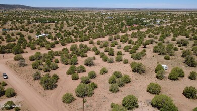 4409 E Pinto Rd, Snowflake, AZ 85937 - photo 5