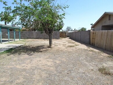023-045933 - backyard