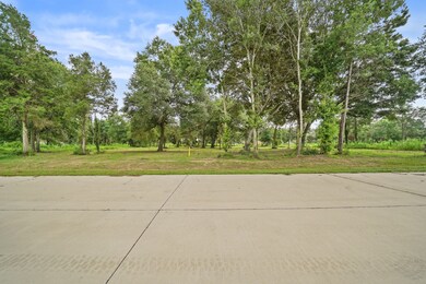 4607 Cottonwood Run, Alvin, TX 77511 - photo 6