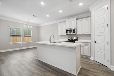 Coral Kitchen
