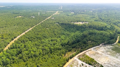 2576 Jessie James Pond Rd, Wrens, GA 30818 - photo 3