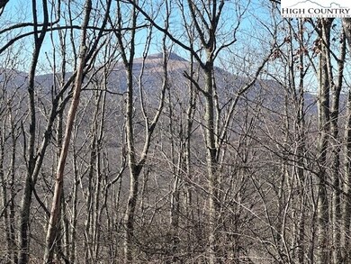 An incredible view of Roan Mountain.