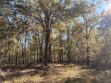 4570 Cabin Rd, McCalla, AL 35022 - photo 3