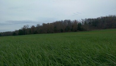 5.21 Ac Parragon Rd, Cookeville, TN 38506 - photo 5