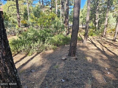 3251 W Sage Lane, Show Low, AZ 85901