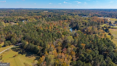 0 Roy Morgan Rd unit 17.44 ACRES, Carrollton, GA 30116 - photo 3