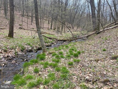 LOT 19 SEC 14 High Knob Rd, Old Fields, WV 26845 - photo 5
