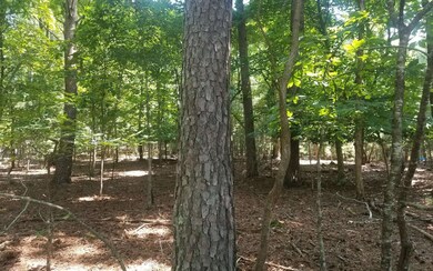 Additional View