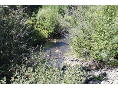 0 Oak St unit 24356227, Sumpter, OR 97877 - photo 4