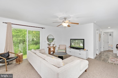 53 Mountain Scene Dr, Hereford, PA 18056 - photo 4