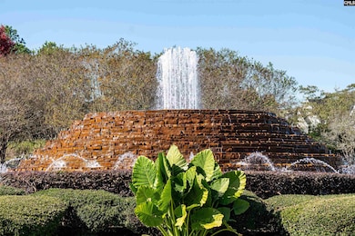 905 Knowles Loop, Columbia, SC 29229 - photo 7