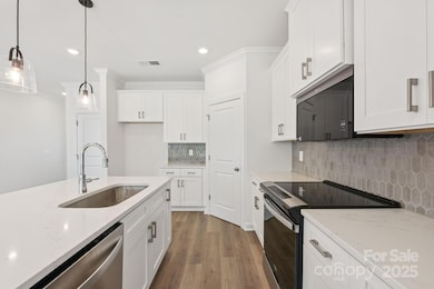 421 Markridge Loop, Fort Mill, SC 29708 - photo 4