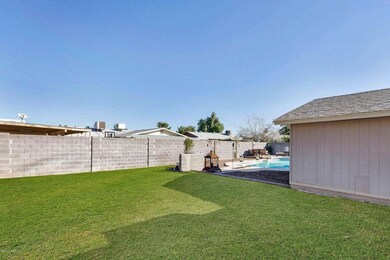 West side of back yard grass