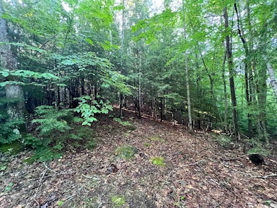 Map 6, Lot 38 Chadwick Hill Rd, Webster, NH 03303 - photo 6