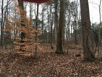 205 Dudala Way, Loudon, TN 37774 - photo 2