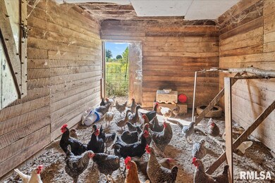 5008 Rock Rd unit 1, Pleasant Plains, IL 62677 - photo 4