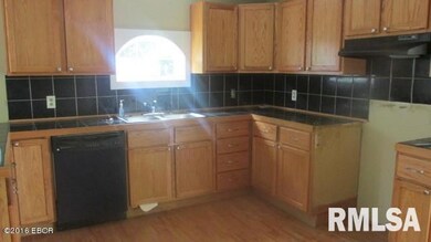 1916 Dorris Heights Rd, Harrisburg, IL 62946 - photo 4