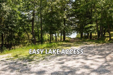 221 Sullivan Dr, Kimberling City, MO 65686 - photo 5