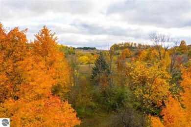 0 E Lincoln Rd unit 1859726, Cedar, MI 49621 - photo 4