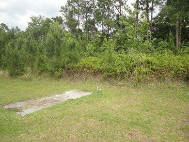 1139 Jim Truesdell Rd SE, Darien, GA 31305 - photo 5