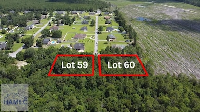 112 Vixenhill Dr, Jesup, GA 31546 - photo 5