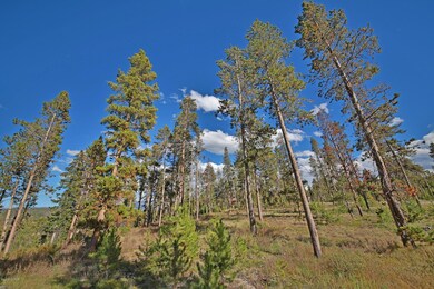 property view 1