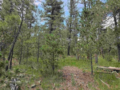 Lot19 Silver Fox Trail unit 19, Flying H, NM 88339 - photo 2