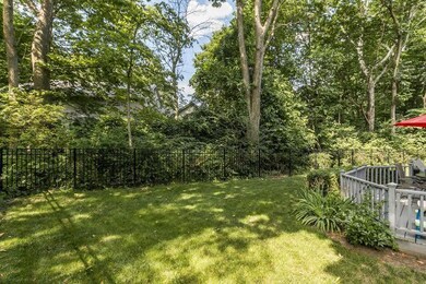 lo backyard 2