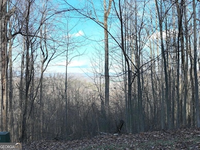 281 Andes Ridge, Ellijay, GA 30536 - photo 2
