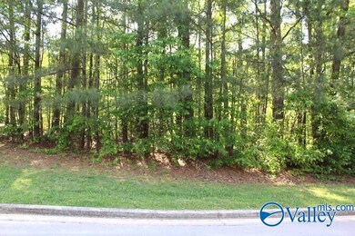 Lots 6 and 7 Lea Christine Cir NE, Arab, AL 35016 - photo 2