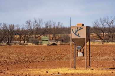 TBD County Road 260, Colorado City, TX 79512 - photo 3