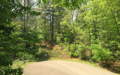 Additional View