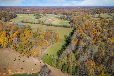 3297 Three Island Rd, Walling, TN 38587 - photo 5