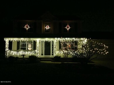 christmas lights pic