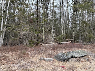 221 Bucksport Rd, Bucksport, ME 04605 - photo 7