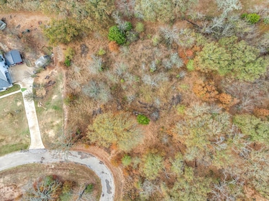 TBD Rs County Road 2372, Alba, TX 75410 - photo 3