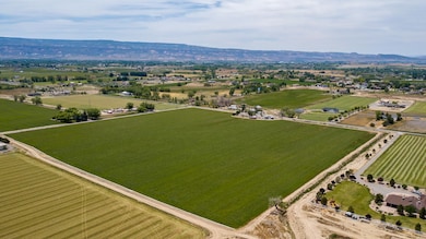 1410 19 Rd, Fruita, CO 81521 - photo 3