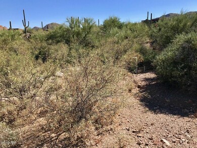 great vegetation