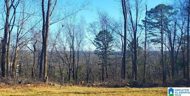 5009 Altamont Rd S unit 10, Birmingham, AL 35222 - photo 2