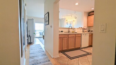 440 W Mahogany Ct unit 604, Palatine, IL 60067 - photo 3