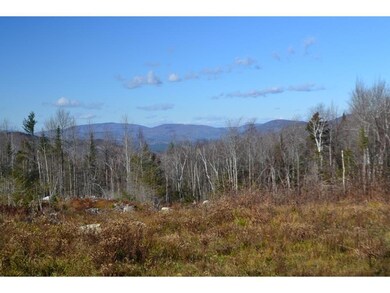 176 Victorias Mountain Way, Groton, NH 03266 - photo 2