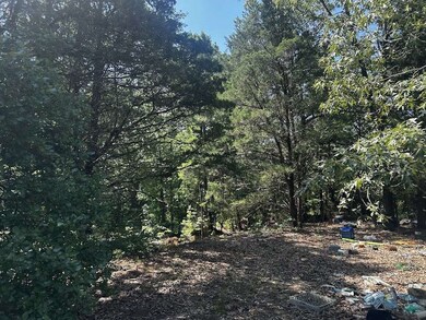 0 Victory School Rd, Avinger, TX 75630 - photo 4