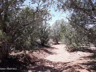 Lot 390 Unit 4 Juniperwood Ranch, Ash Fork, AZ 86320 - photo 6