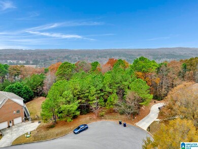 211 Mountain Lake Trail, Alabaster, AL 35007 - photo 4