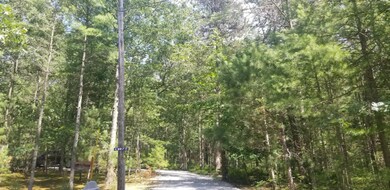 116911343_601396477232869_87347186686941