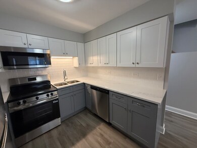 744 W Gordon Terrace unit 310, Chicago, IL 60613 - photo 5