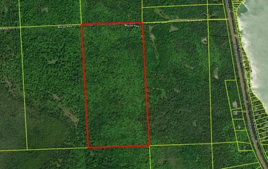 GIS Aerial