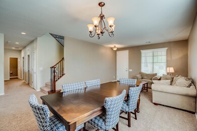 Living and Dining