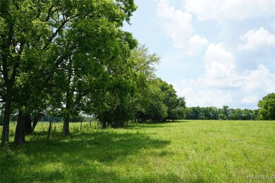 1105 Rittenour Rd, Grady, AL 36064 - photo 7